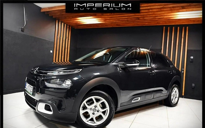 Citroen C4 Cactus cena 59900 przebieg: 15000, rok produkcji 2021 z Tczew małe 277